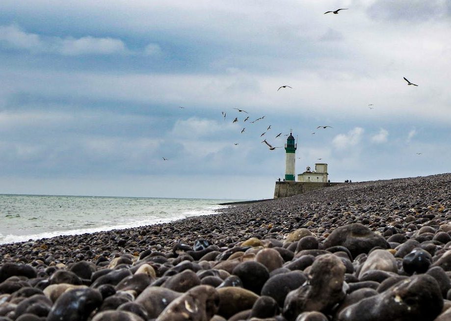 Birds flying across a stone-lined beach with a lifehouse. Photo by Mohammad Husaini on Pexels.com